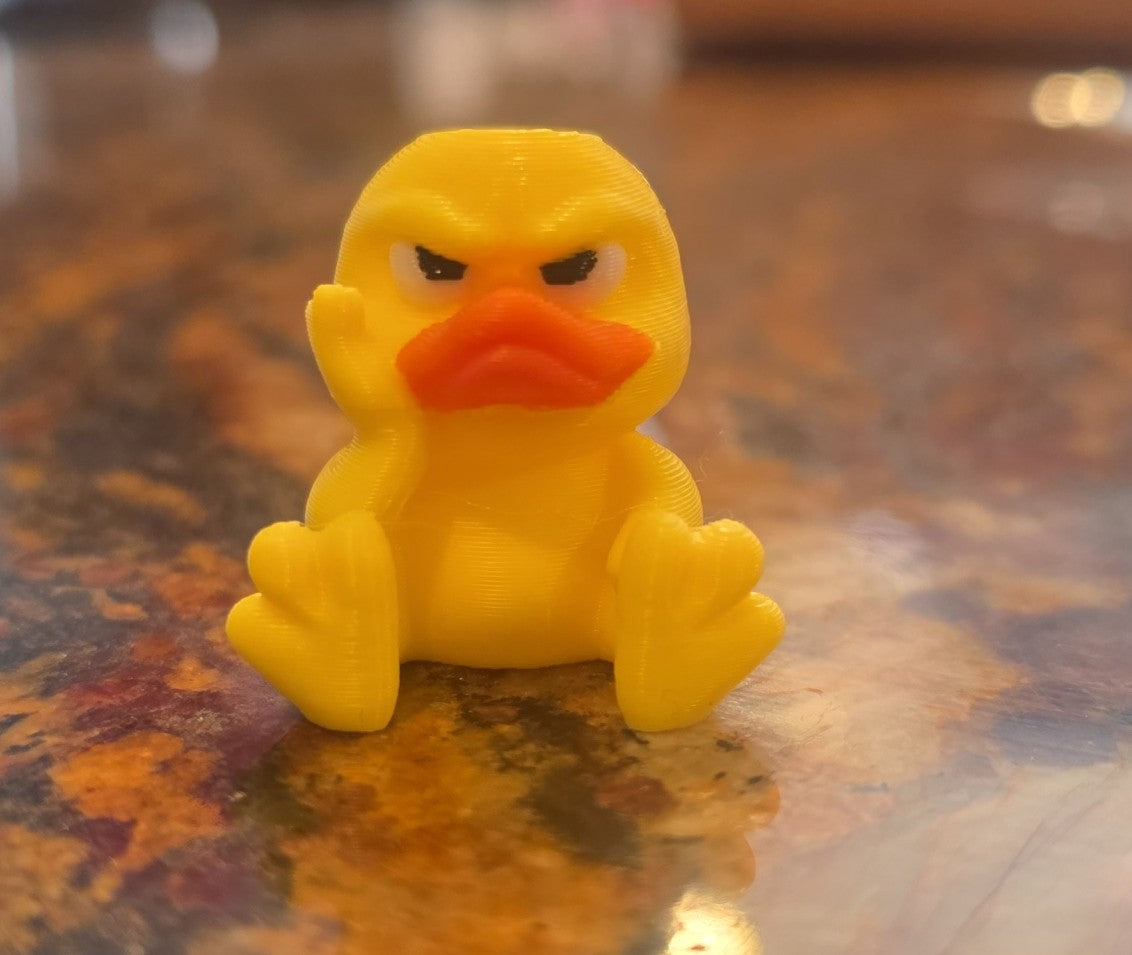 ST 1 ANGRY DUCKY